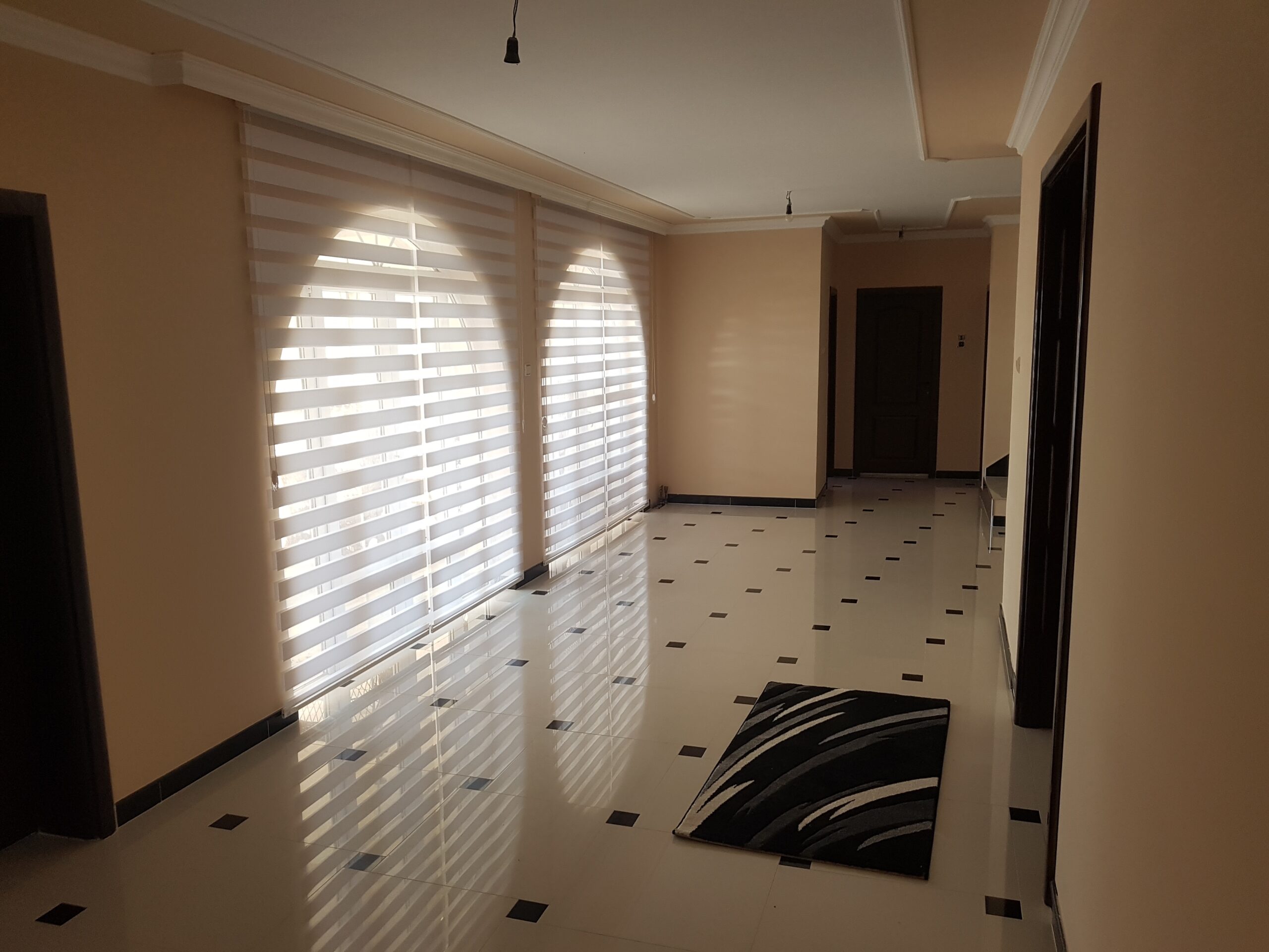 viber_image_2025-01-29_14-39-18-616